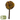 Natures Grub Forage Lolly 45g