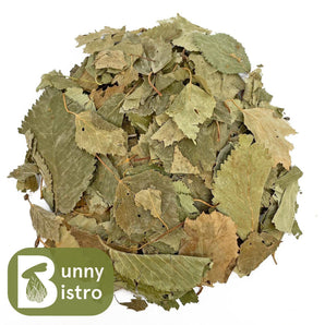 Bunny Bistro Birch Leaves natural forage for rabbits, overhead view.