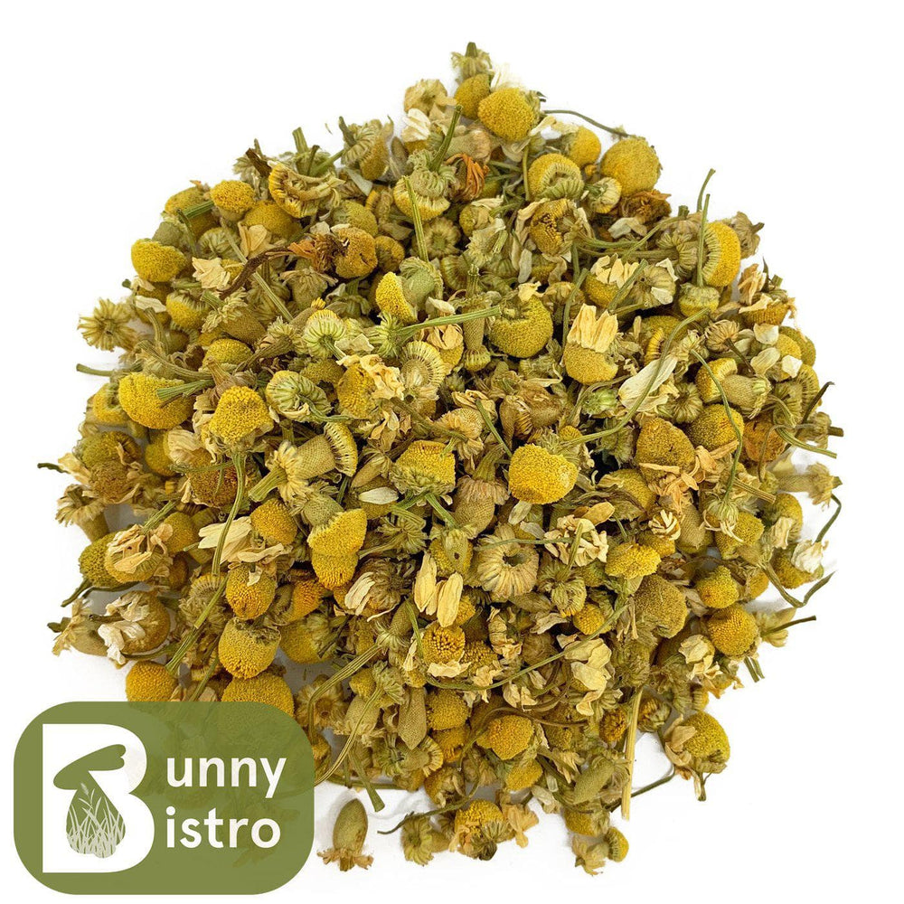 Bunny Bistro Chamomile Flowers
