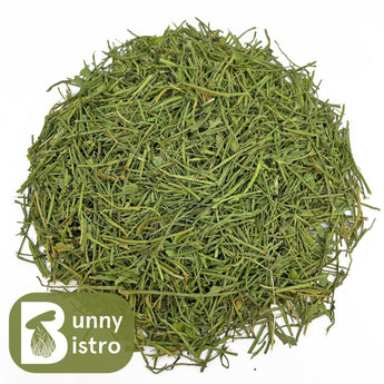 Bunny Bistro Coriander Stalks, overhead view of natural forage for rabbits and small pets.