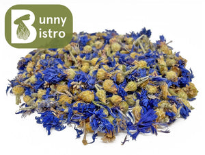 
                  
                    Load image into Gallery viewer, Bunny Bistro Cornflower - Blue
                  
                