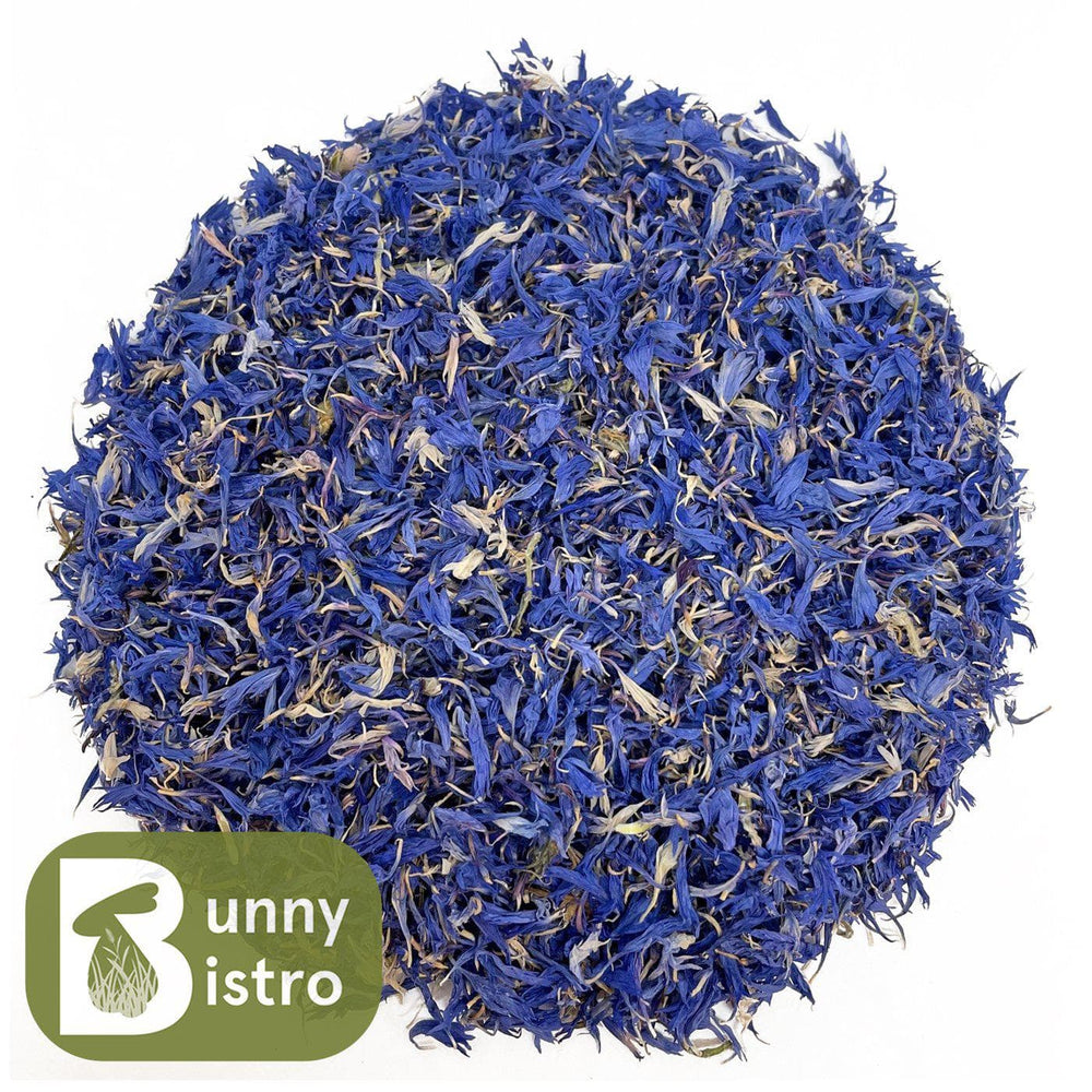 Bunny Bistro Cornflower Petals - Blue