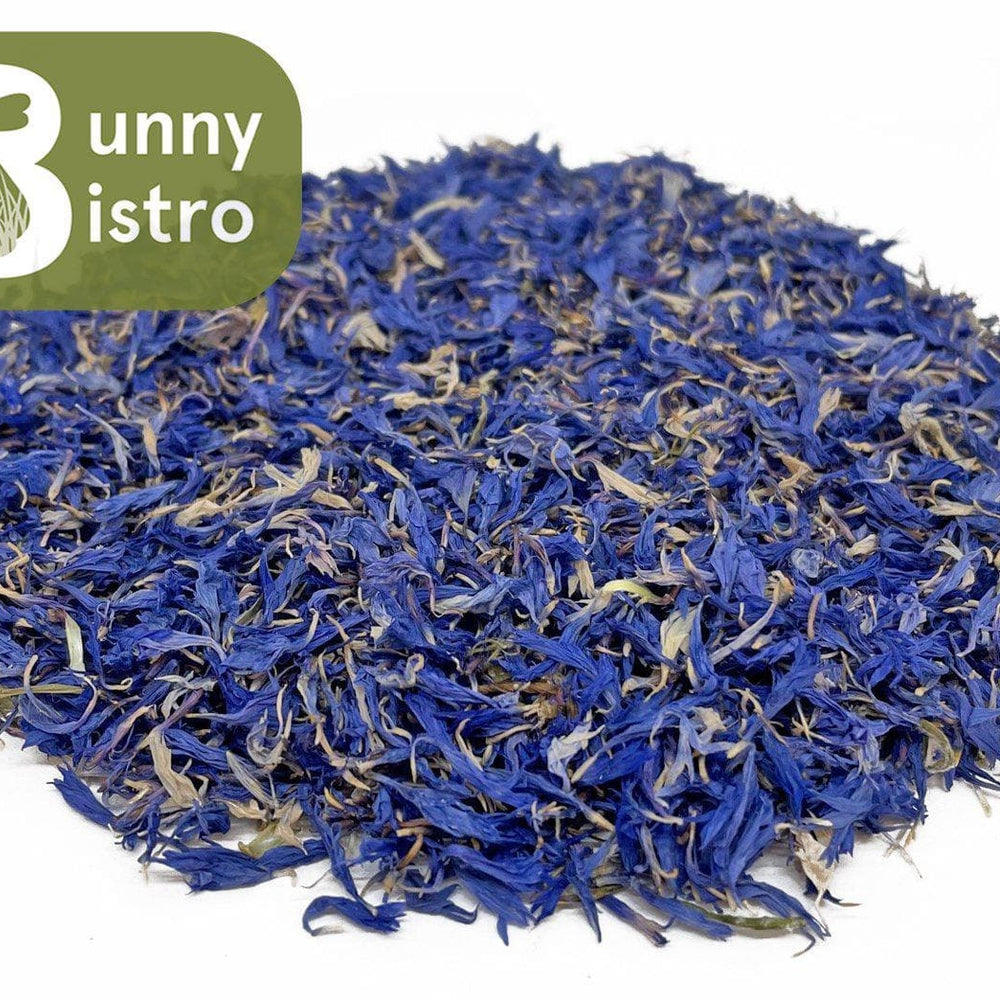 
                      
                        Bunny Bistro Cornflower Petals - Blue
                      
                    