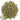 Bunny Bistro Dandelion Leaf Standard