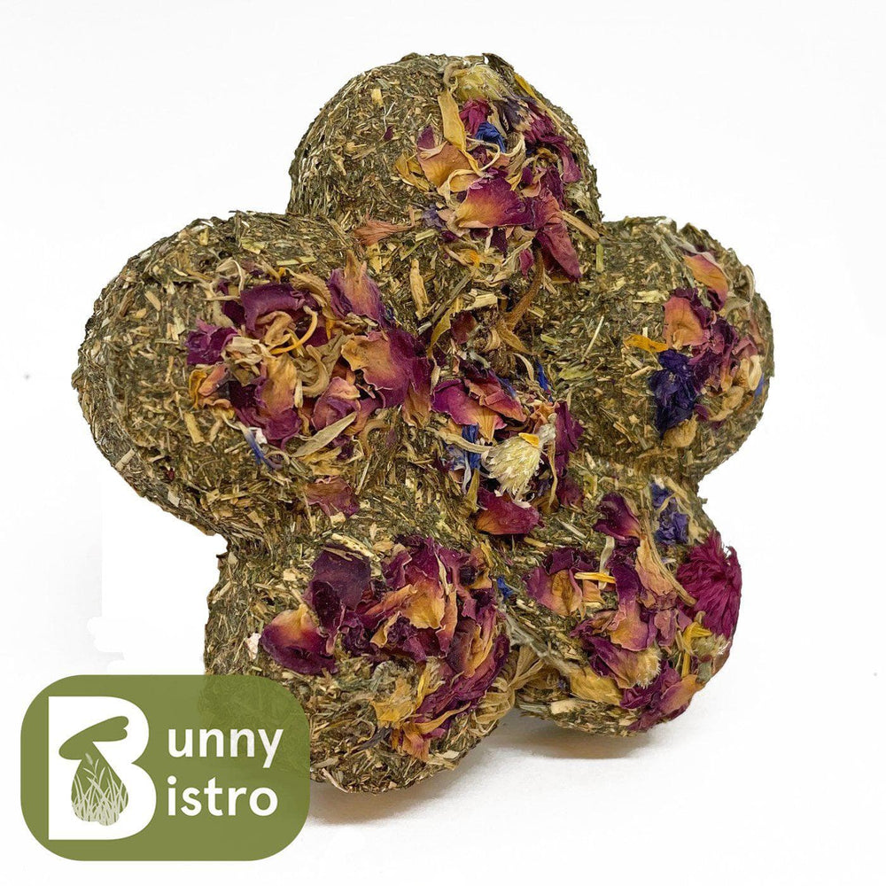 
                      
                        Bunny Bistro Flower Topped Daisy
                      
                    