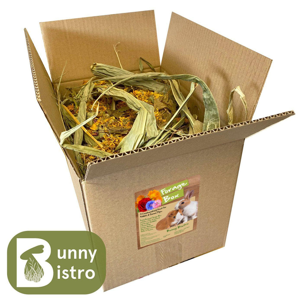 
                  
                    Load image into Gallery viewer, Bunny Bistro Forage Box
                  
                