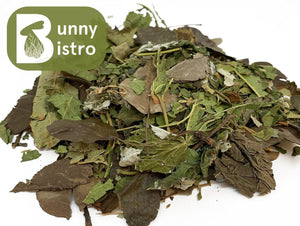 
                  
                    Load image into Gallery viewer, Bunny Bistro Fruit Leaf Salad
                  
                