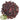 Bunny Bistro Hibiscus Flowers