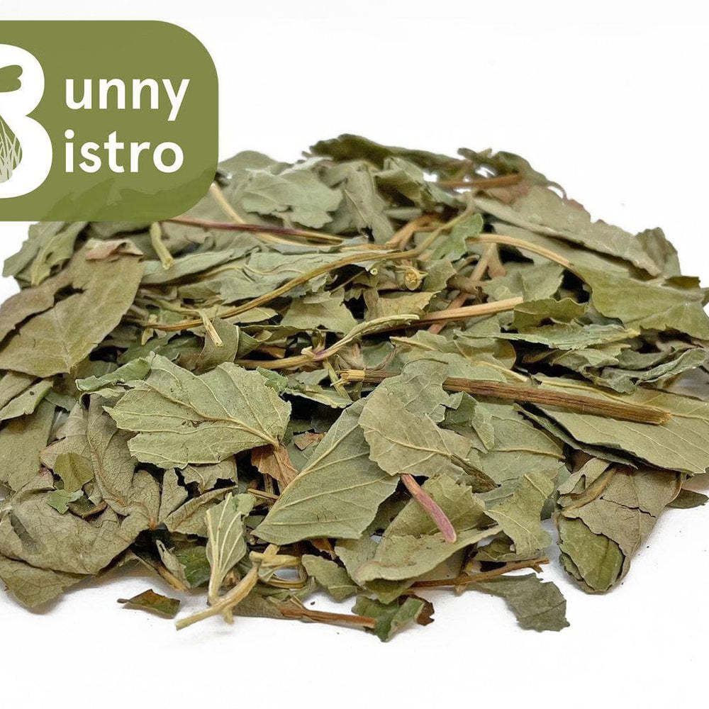 
                      
                        Bunny Bistro Stawberry Leaves
                      
                    